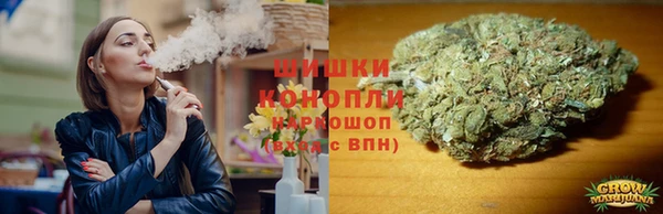 прущие грибы Алексеевка
