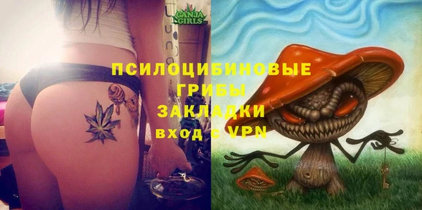 кокс Алексин