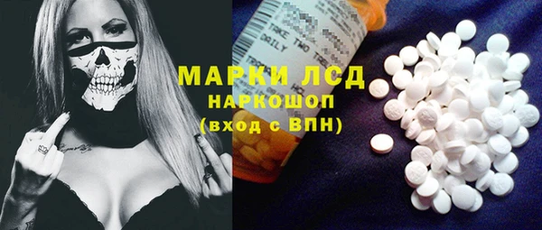прущие грибы Алексеевка