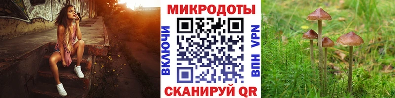 хочу наркоту  Зуевка  Галлюциногенные грибы ЛСД 